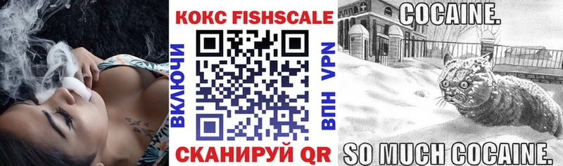 COCAIN FishScale  Судак 